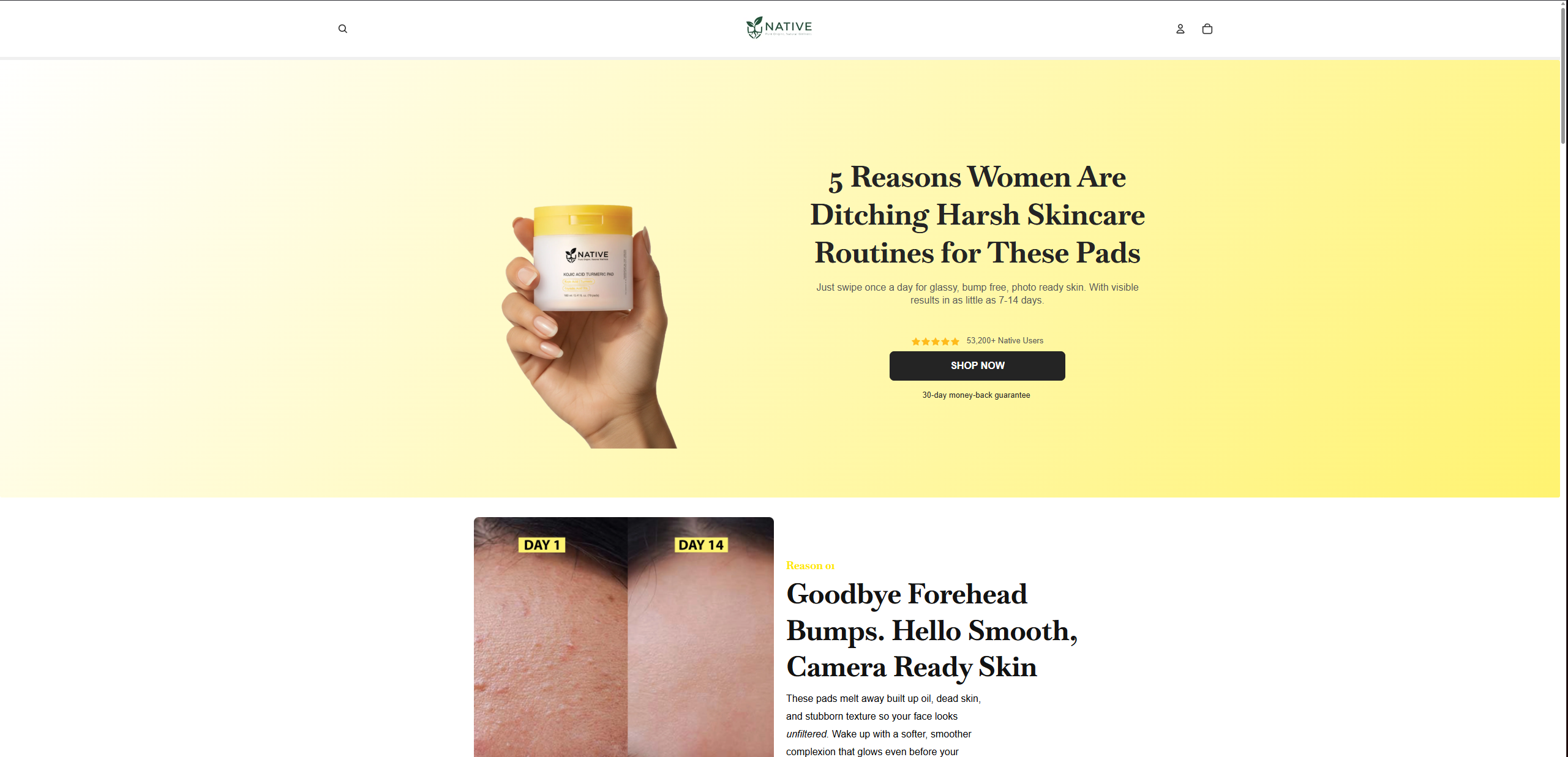 Try Native - Professional business design by WebSpin Studio